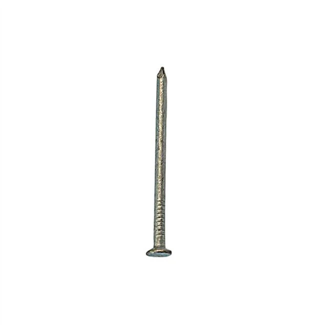 Galvanized Iron Nail suppliers