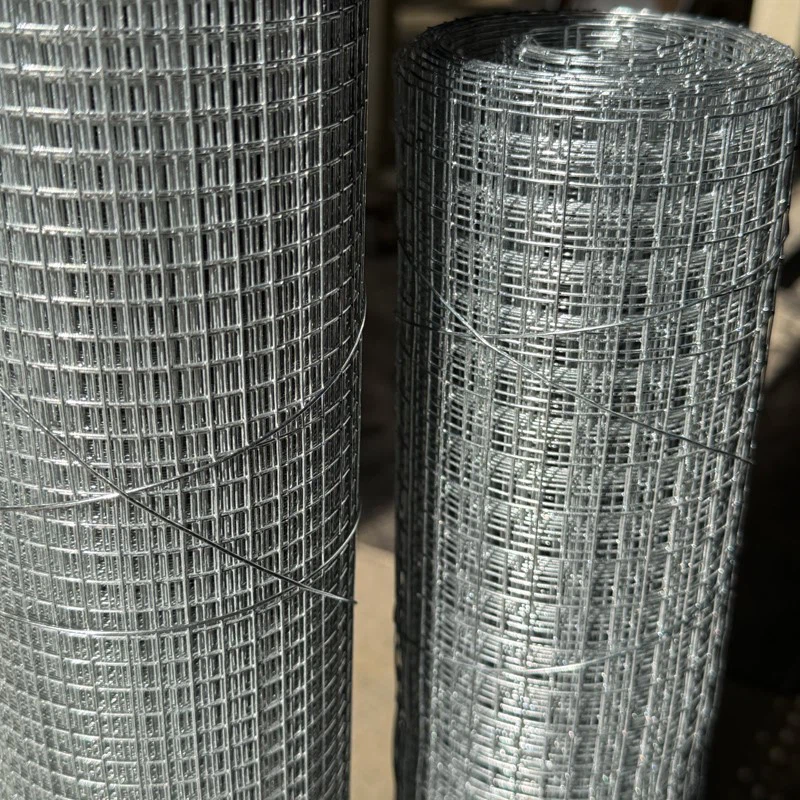 news-1-1 square chicken mesh