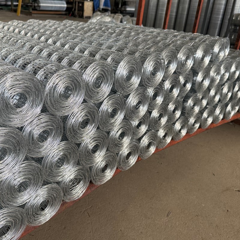 news-1-1 Galvanized Hog Wire Fencing